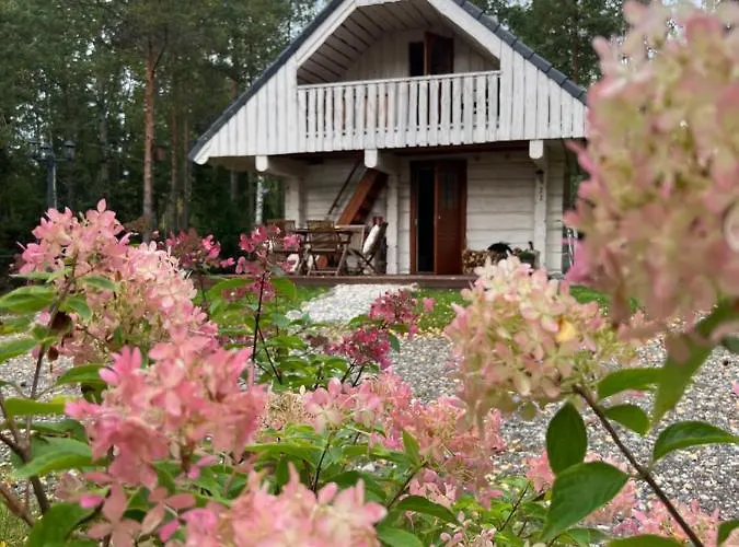 Metsakuurorti Puhkekeskus, Mummila House *